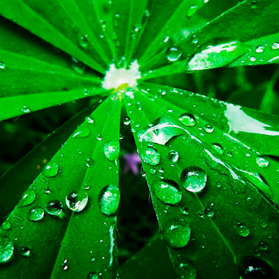 手机号轰炸在线